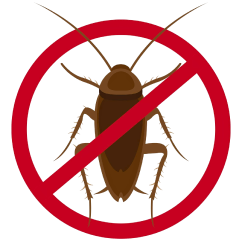 illustration-deratisation-rat-souris