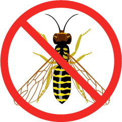 illustration-deratisation-rat-souris