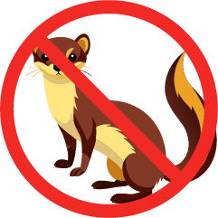 illustration-anti-martre