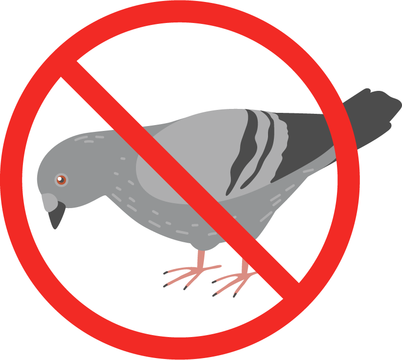 illustration-depigeonnage