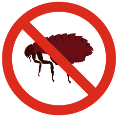 illustration-deratisation-rat-souris