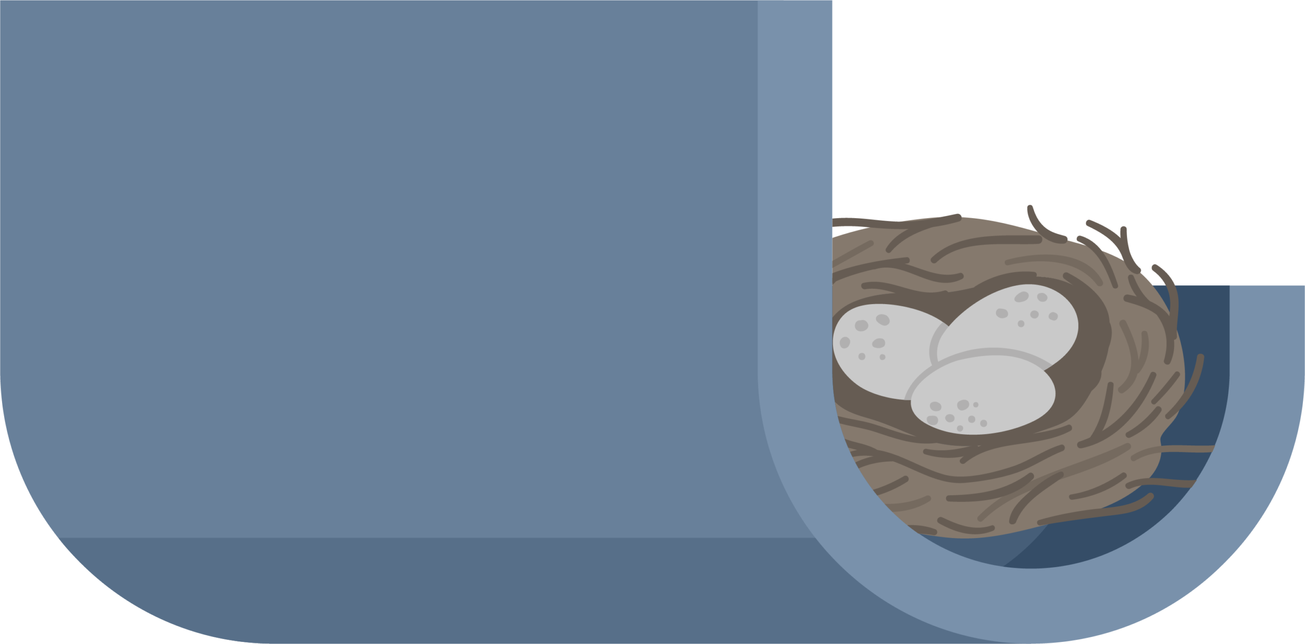 obstruction-gouttiere